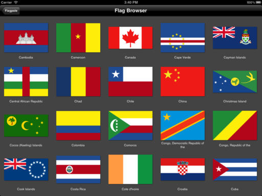 Flagpole for iPad